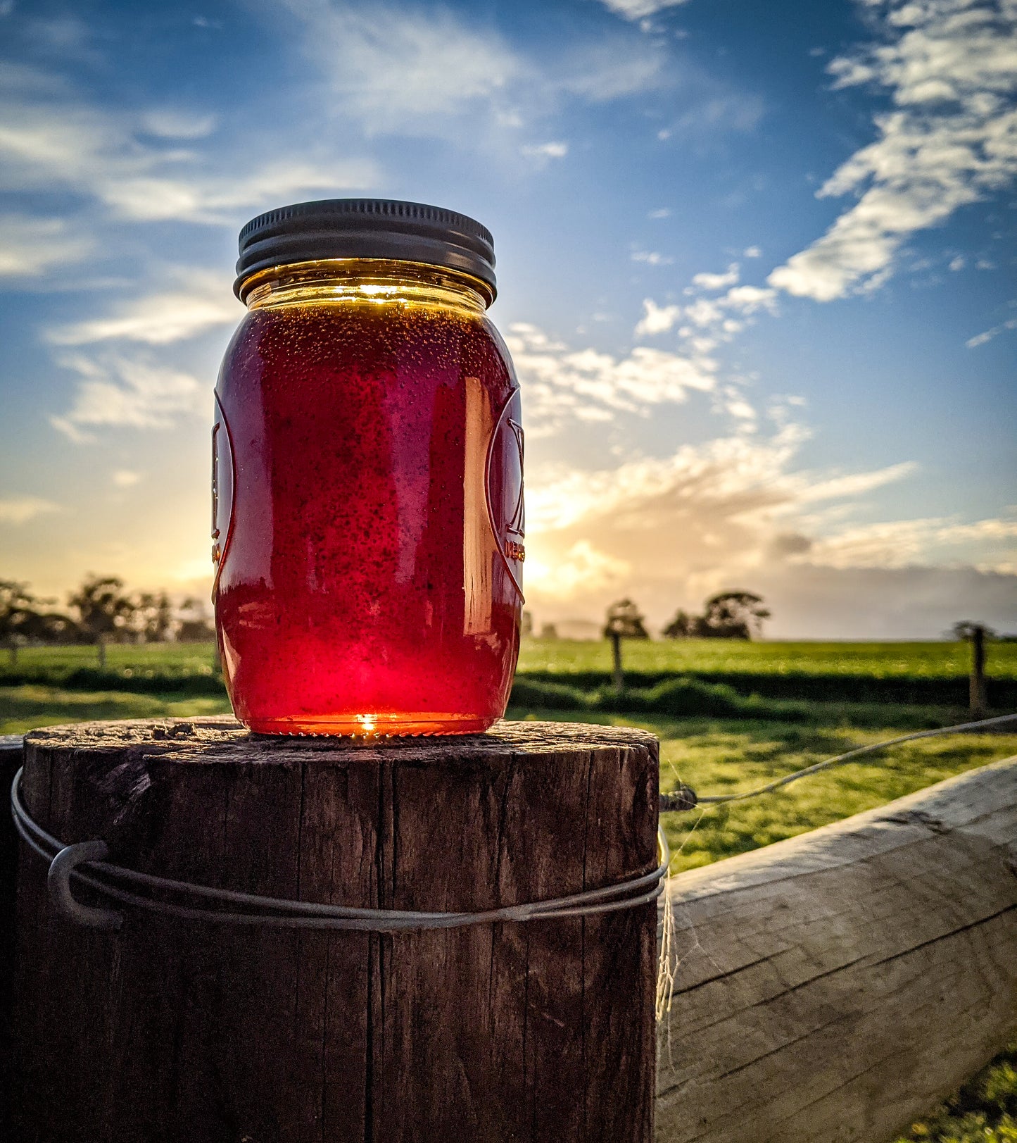 Finniss River Honey